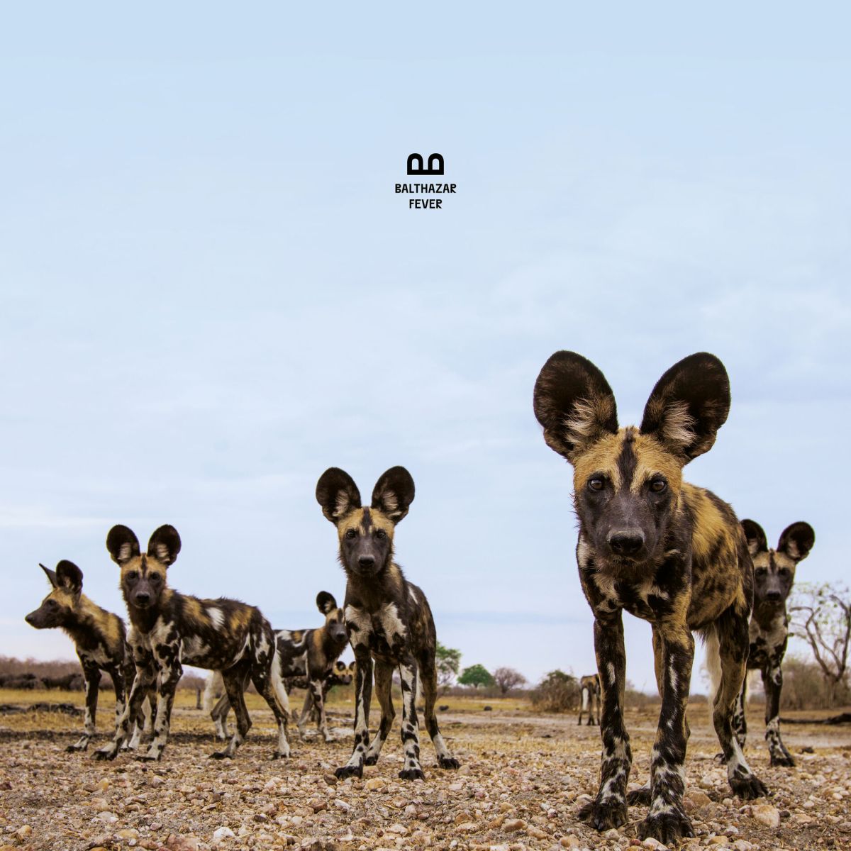 Caviar d&rsquo;aubergines